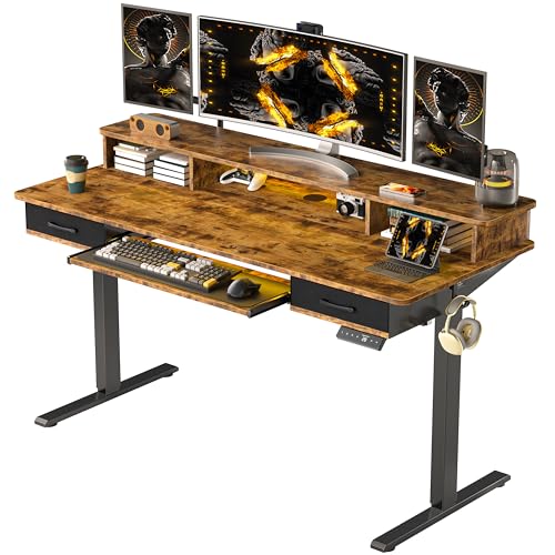 Electric Standing Desk with 2 Drawers, Height Adjustable for Home Office W495