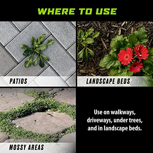 Weed and Grass Killer Concentrate for Landscape Beds, Patios, 32 oz Q66049