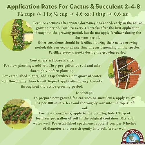 Cactus & Succulent Fertilizer 2-4-8, 1 lb D938