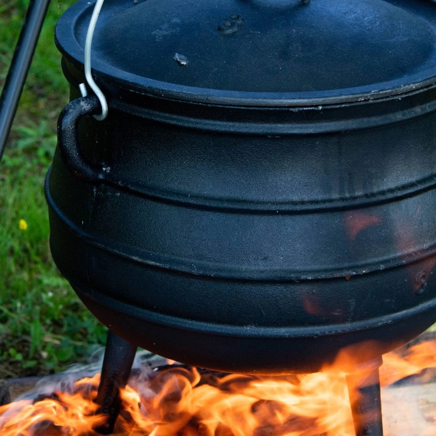 Cast Iron Dutch Oven with Lid, 16 Inch C904