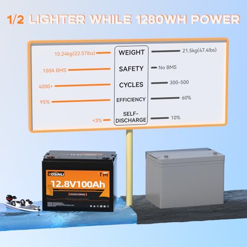 12V 100Ah Group 24 LiFePO4 Battery with 100A BMS, Deep Cycle for RV, Marine, Solar M985