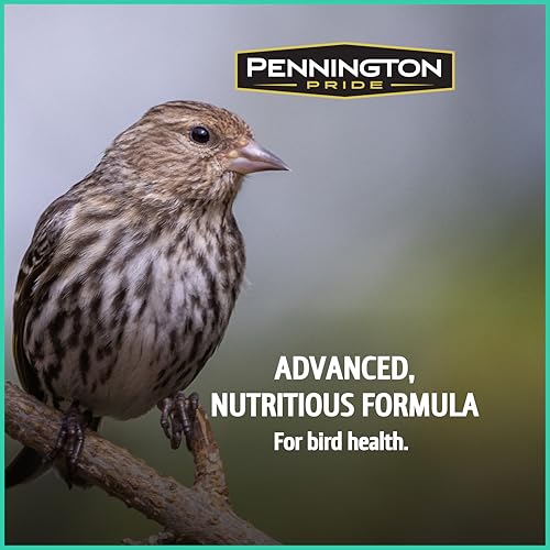 Wild Bird Seed for Outside Feeders, High-Protein, No-Hull, No-Waste, 15-lb Bag Q46704