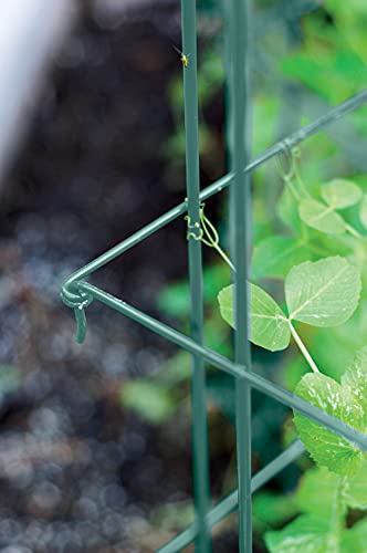 Expandable Pea Trellis for Climbing Plants, Powder-Coated Steel, 9'3" L x 64" H O16059