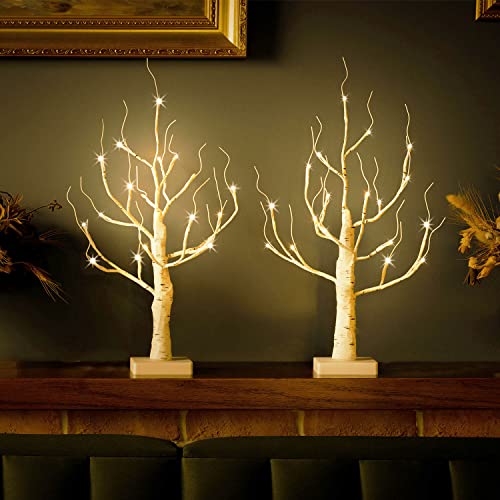 Lighted Birch Tree 4ft with 48 LED, Timer, Warm & Cool White F9132