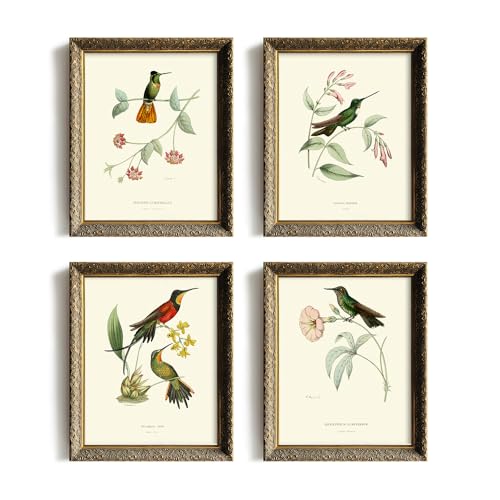 Botanical Bird Wall Art Poster for Bedroom Bathroom E29177