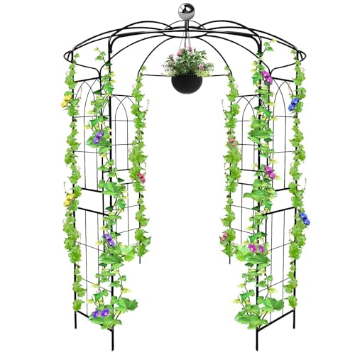 9.5FT Birdcage Shape Garden Arch, Kalolary Pergola Plant Climbing Trellis Arbor Heavy Duty Wedding Arbor Metal Gazebo Garden Arch for Outdoor Arbor Climbing Plants Backyard Patio Wedding Ceremony
