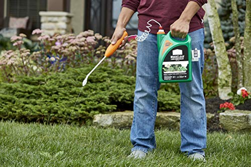 Weed Killer for Northern Lawns, 1.33 gal. P19303