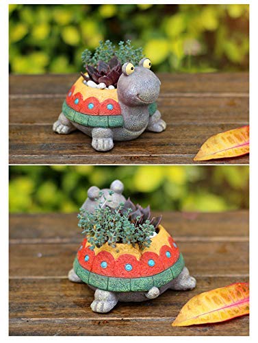 Turtle Shape Resin Succulent Plant Pot H6144