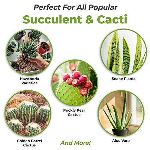 Succulent and Cactus Fertilizer, 5oz Bag for Live Plants U928