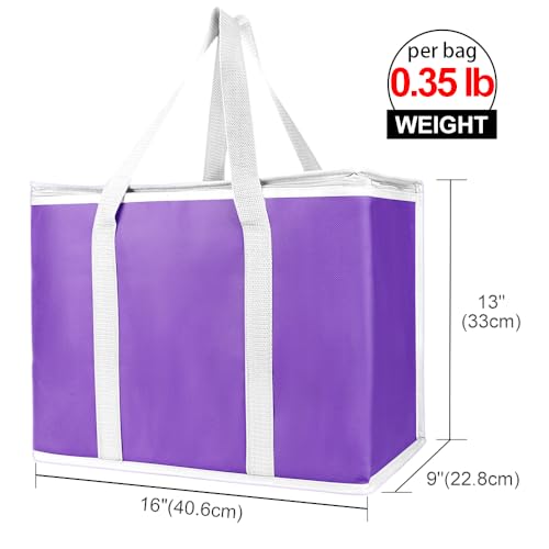 Insulated Food Delivery Bag Hot Cold Meal Carrier F1699
