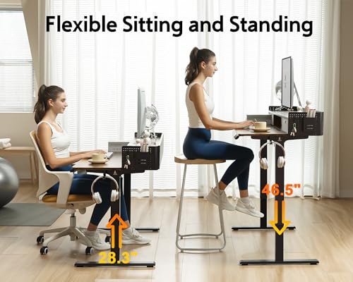 Electric Standing Desk with 2 Drawers, Height Adjustable for Home Office W495