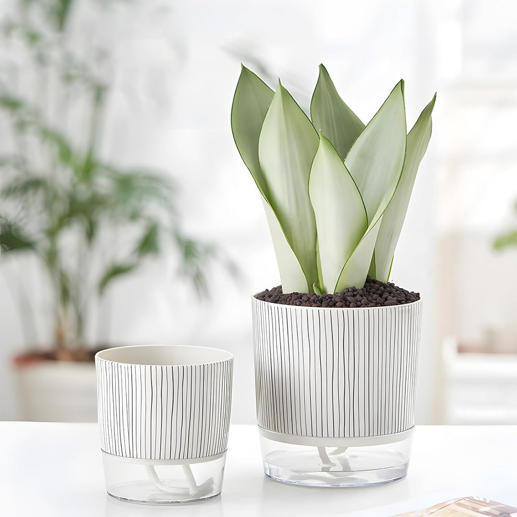 Self-Watering Pots for Indoor Plants with Wick Rope M4241
