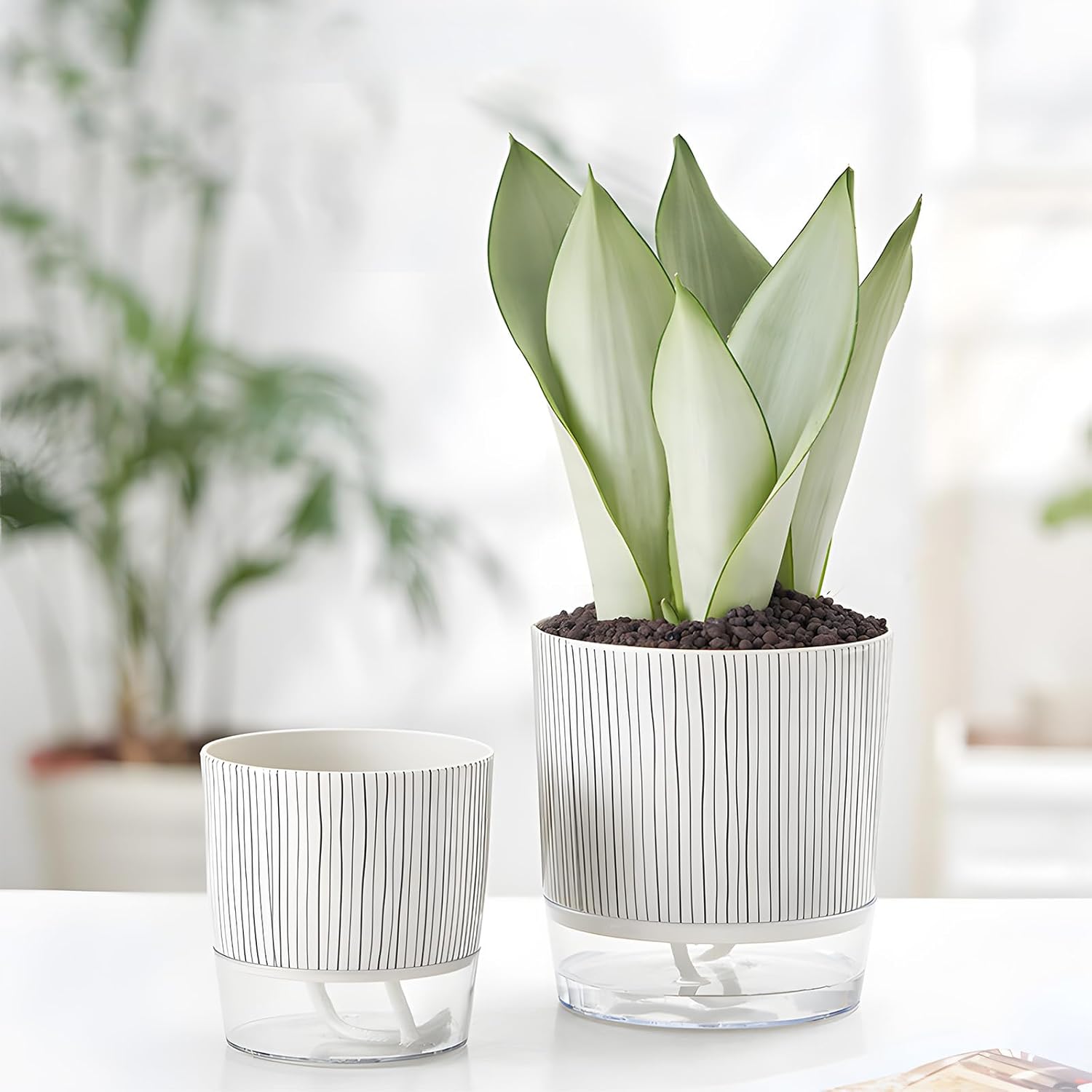 Self-Watering Pots for Indoor Plants with Wick Rope M4241