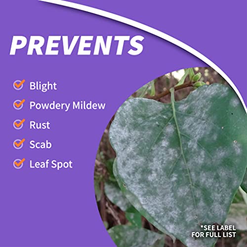 Systemic Disease Control Concentrate for Plants, 16 oz W777