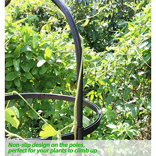 Garden Trellis for Climbing Plants, Rustproof Metal Pipe, 6ft, Indoor Outdoor Plant Support Y969