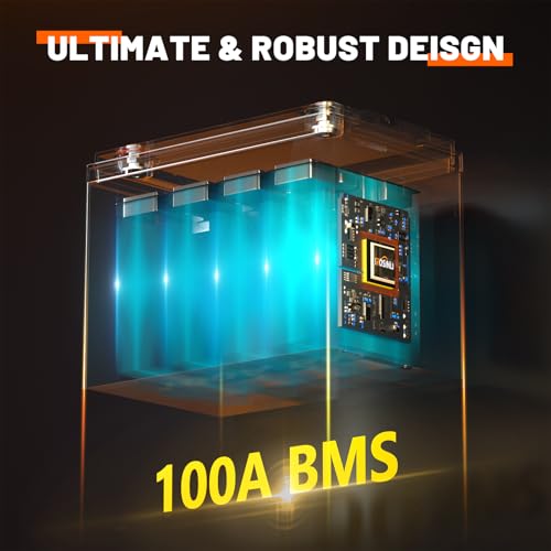 12V 100Ah Group 24 LiFePO4 Battery with 100A BMS, Deep Cycle for RV, Marine, Solar M985