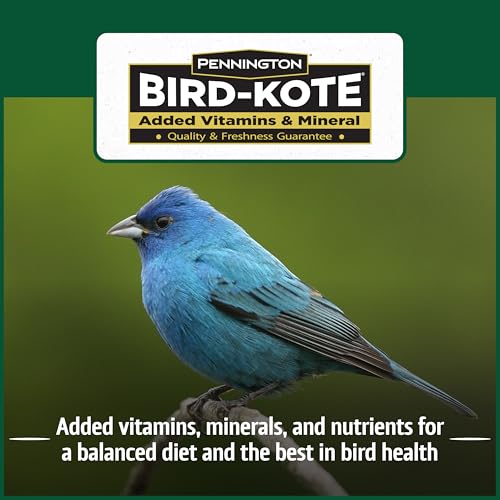 Wild Bird Seed for Outside Feeders, High-Protein, No-Hull, No-Waste, 15-lb Bag Q46704