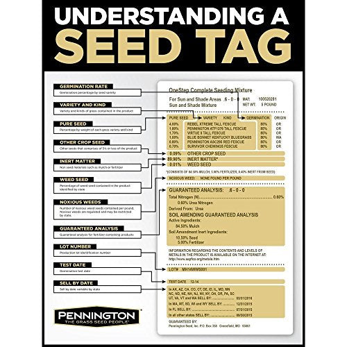 Annual Ryegrass for Overseeding Warm Season Lawns, 10 lb C2178