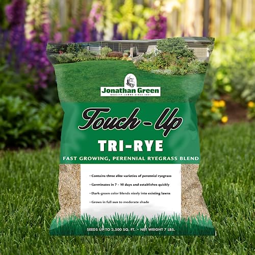 Perennial Ryegrass Grass Seed for Cool Season Lawns, 3 lb Q56345