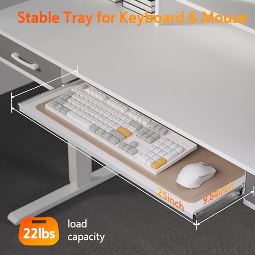 Electric Standing Desk with 2 Drawers, Height Adjustable for Home Office W495