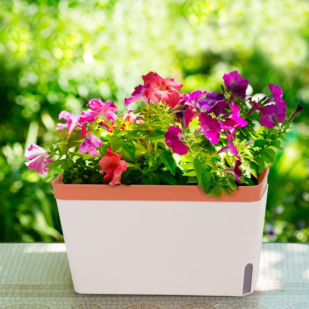 Window Herb Planter Box, Self-Watering, Set of 3 W9930