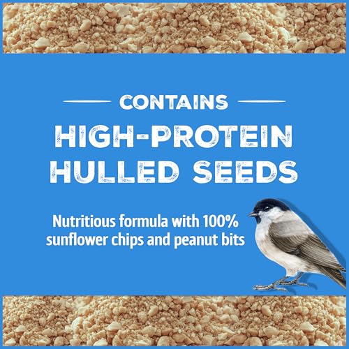 Wild Bird Seed for Outside Feeders, High-Protein, No-Hull, No-Waste, 15-lb Bag Q46704