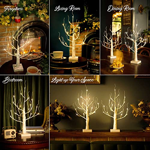 Lighted Birch Tree 4ft with 48 LED, Timer, Warm & Cool White F9132