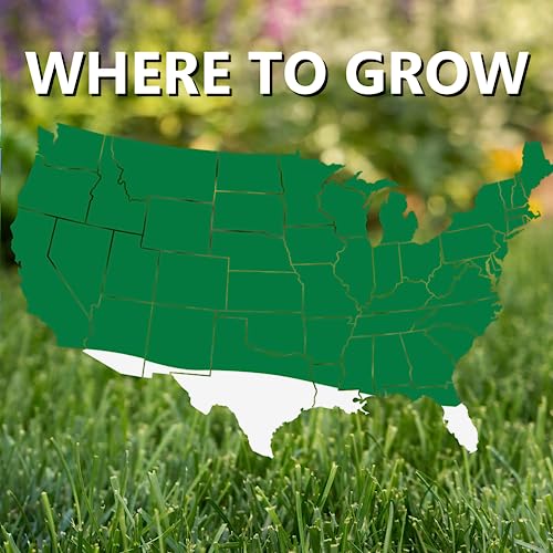 Perennial Ryegrass Grass Seed for Cool Season Lawns, 3 lb Q56345