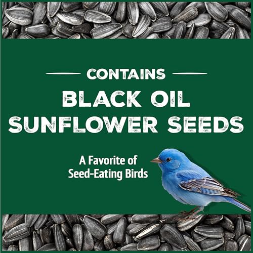 Wild Bird Seed for Outside Feeders, High-Protein, No-Hull, No-Waste, 15-lb Bag Q46704