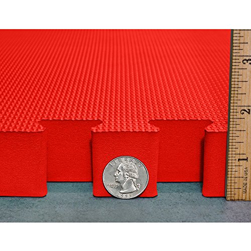 Interlocking EVA Foam Mats for Wrestling, MMA & Gymnastics F52987