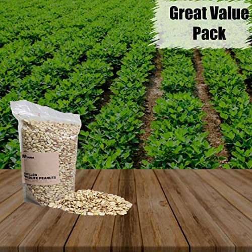 Wildlife Shelled Peanuts, 10 lbs for Birds and Squirrels C82678
