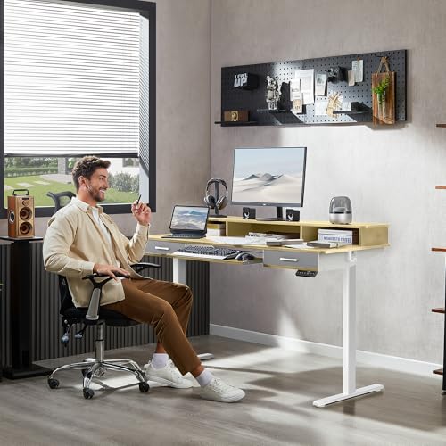 Electric Standing Desk with 2 Drawers, Height Adjustable for Home Office W495
