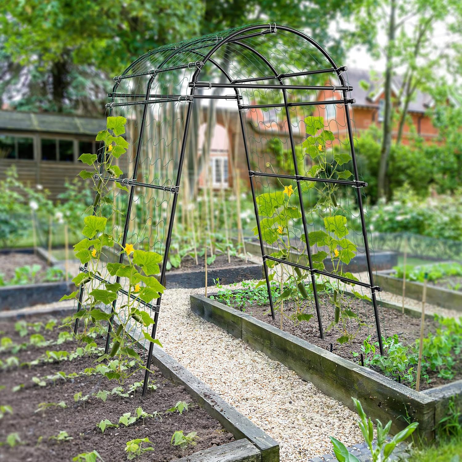 Garden Arch Trellis for Climbing Plants Outdoor, 7 Ft Tall Metal Archway with Nylon Net G610