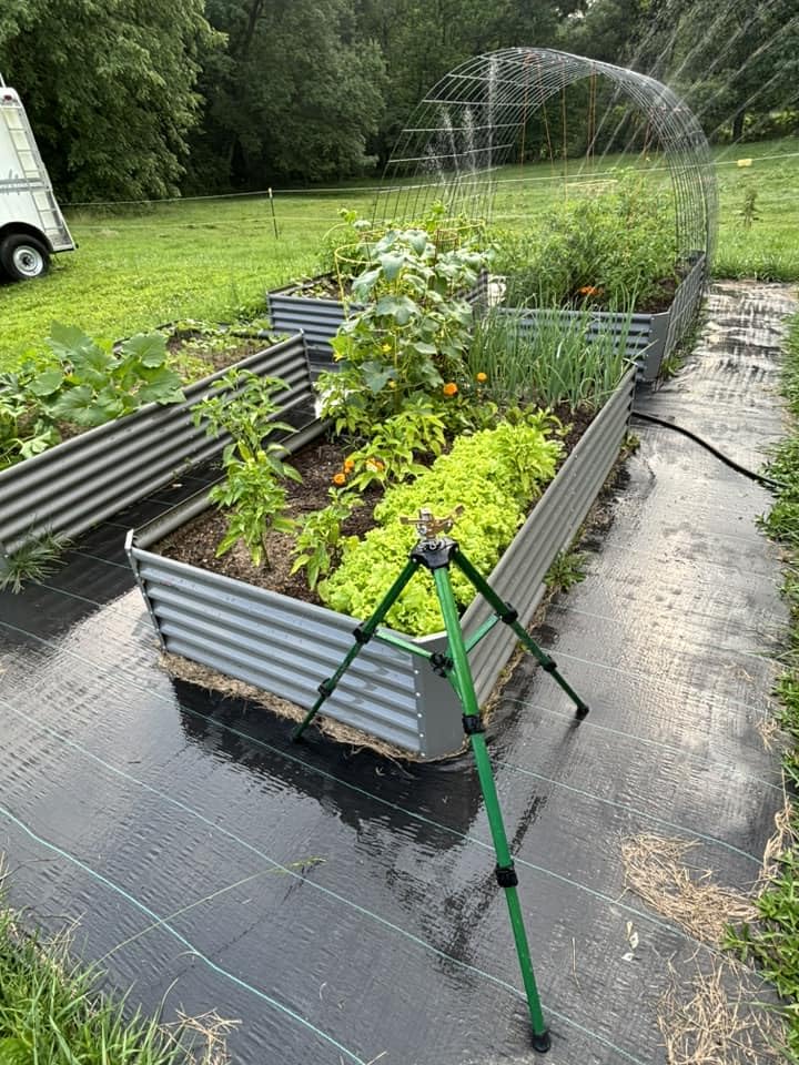Galvanized Raised Garden Bed Oval Metal Planter Box for Vegetables Flowers U63502