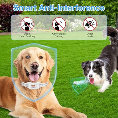Wireless GPS Dog Fence and Training Collar, Waterproof Rechargeable O1867