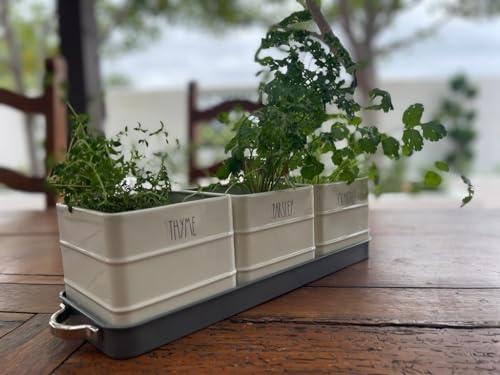 Herb Pot Planter Set with Tray for Indoor or Outdoor Use, White Metal G132003
