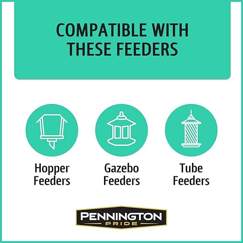 Wild Bird Seed for Outside Feeders, High-Protein, No-Hull, No-Waste, 15-lb Bag Q46704