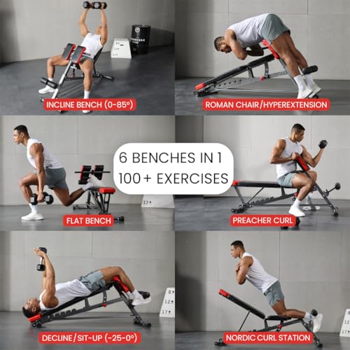 Multi-Functional Weight Bench for Full Body Workout S4381