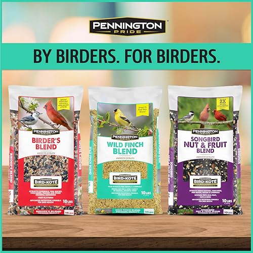 Wild Bird Seed for Outside Feeders, High-Protein, No-Hull, No-Waste, 15-lb Bag Q46704