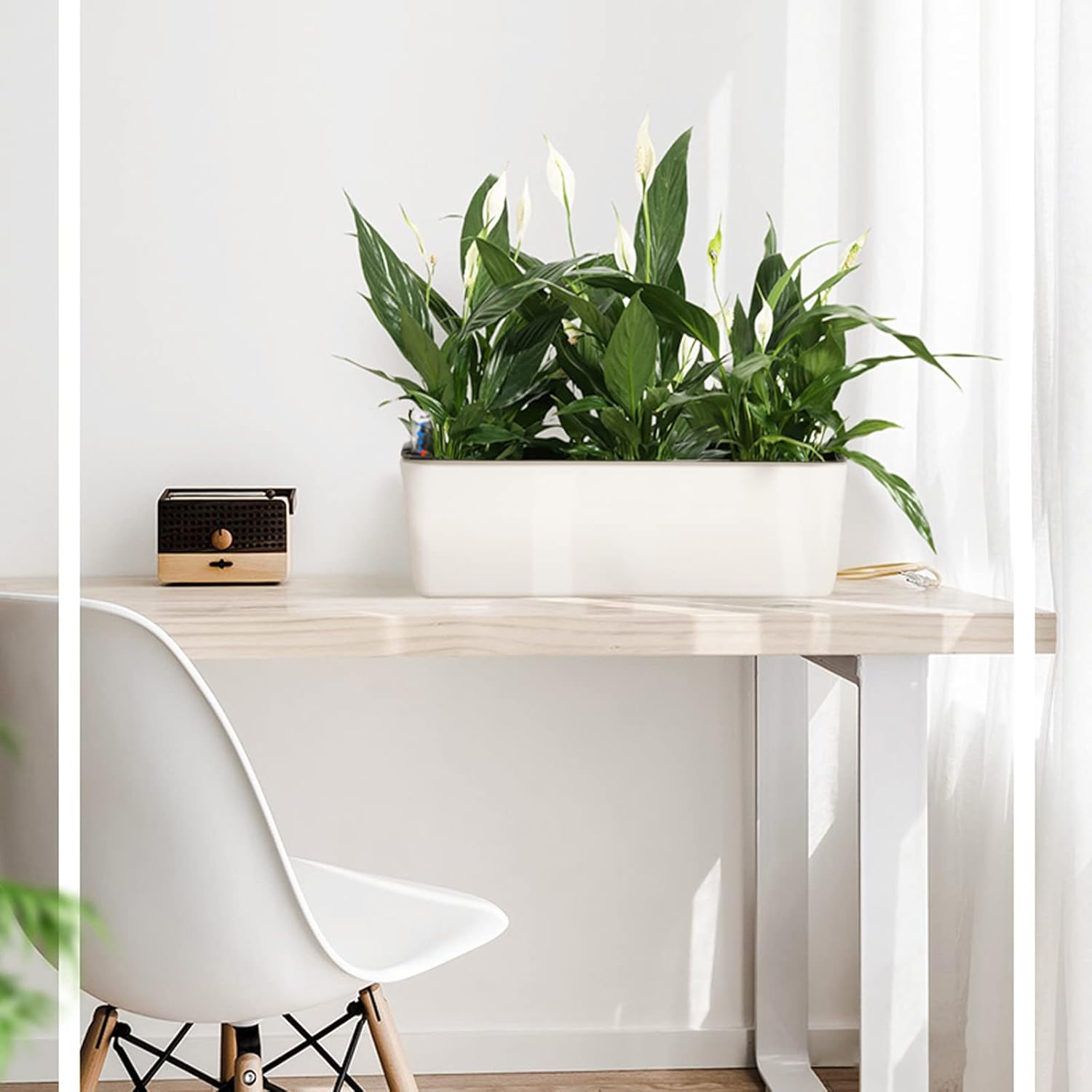 Self-Watering Rectangular Planters for Indoor Plants, 2-Pack D42200