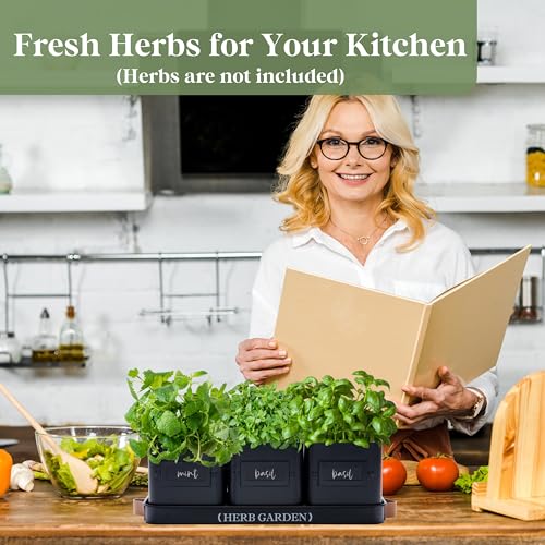 Indoor Herb Garden Planter Set with Tray and Drainage H7645