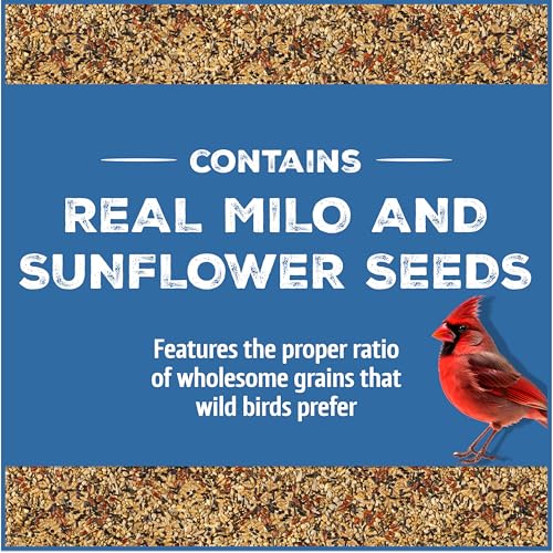 Wild Bird Seed for Outside Feeders, High-Protein, No-Hull, No-Waste, 15-lb Bag Q46704