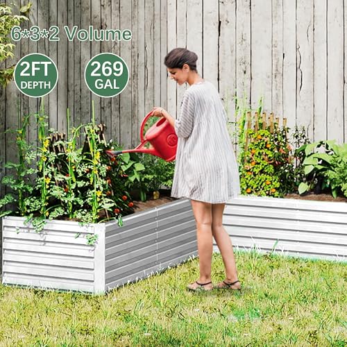 Galvanized Raised Garden Bed 8x4x2ft, Large Metal Planter Box for Outdoor Vegetables, Flowers & Herbs D2106