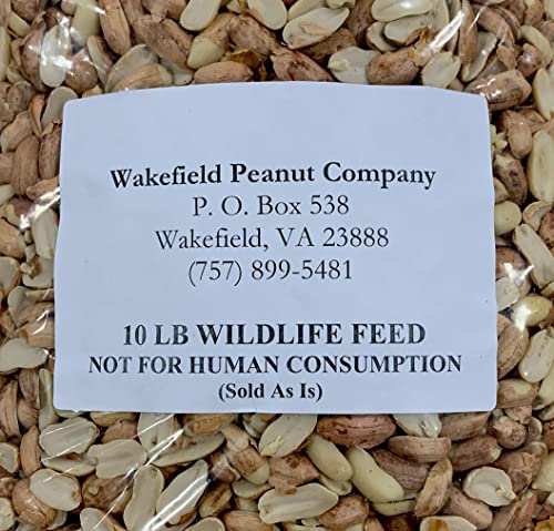 Extra Large Virginia Peanuts for Animals, 25 LBS E776730