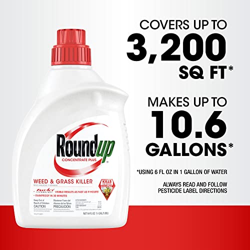 Weed and Grass Killer Concentrate, 64 oz. R468980