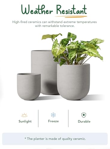 Ceramic Plant Pots with Drainage Hole, Set of 3, White R6124