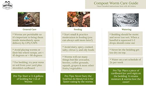 Red Wiggler Compost Worms - 1/2 lb Live Worms for Composting and Gardens T485