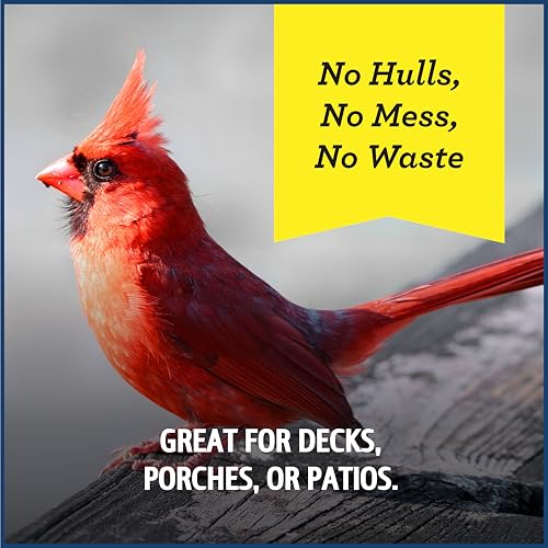 Wild Bird Seed for Outside Feeders, High-Protein, No-Hull, No-Waste, 15-lb Bag Q46704