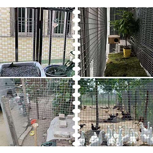 Galvanized Chicken Wire Mesh for Gardening and Poultry Fence J546599