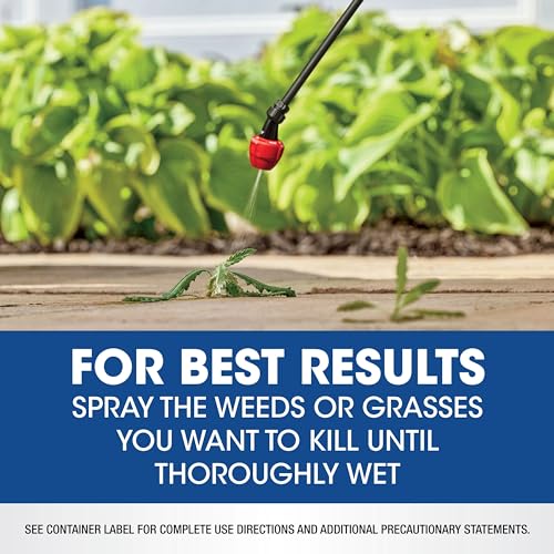 Weed & Grass Killer Concentrate, 0.5 gal U129436